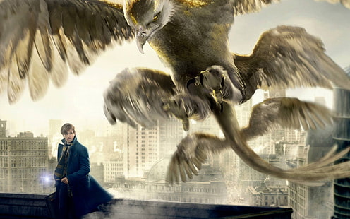 Fantastic Beasts and Where to Find Them, thunderbird, newt scamander, Movies, HD wallpaper HD wallpaper