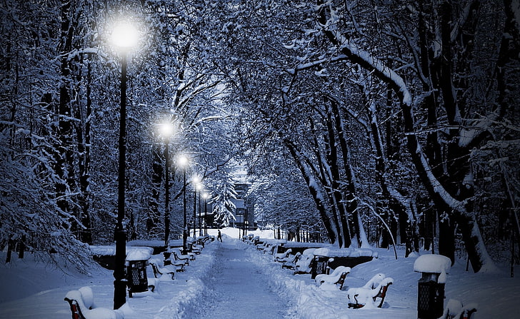 weißes und schwarzes konkretes Gebäude, Fotografie, Natur, Winter, Bäume, Schnee, Bank, Nacht, Lichter, Park, HD-Hintergrundbild