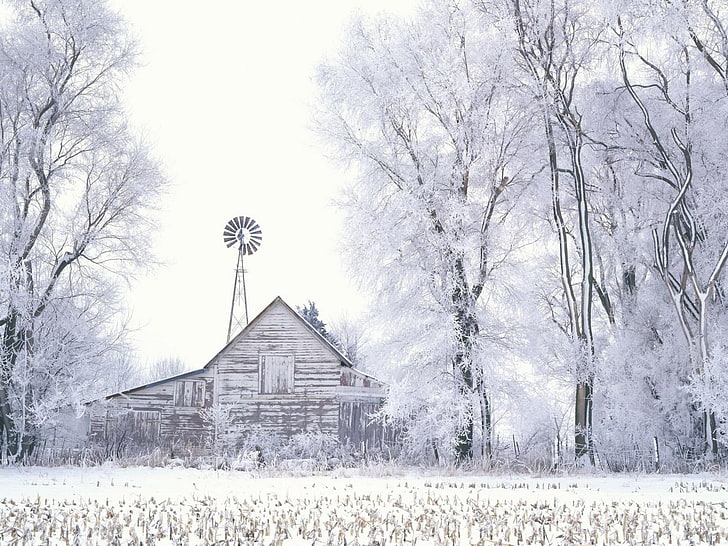 التوضيح منزل خشبي بني ، الأشجار ، الشتاء ، الثلج ، الحظيرة، خلفية HD
