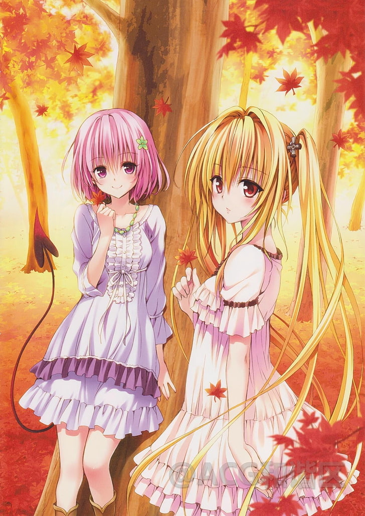 pink-haired and yellow-haired female anime characters, Golden Darkness, Momo Velia Deviluke, To Love-ru, anime girls, HD wallpaper