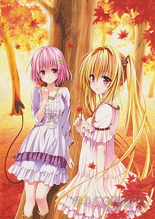 personnages féminins d'anime aux cheveux roses et aux cheveux jaunes, Golden Darkness, Momo Velia Deviluke, To Love-ru, anime girls, Fond d'écran HD HD wallpaper
