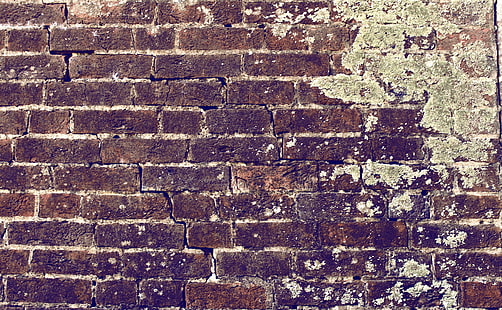 Mur de briques, mur de briques brunes, artistique, grunge, mur, briques, mur de briques, Fond d'écran HD HD wallpaper