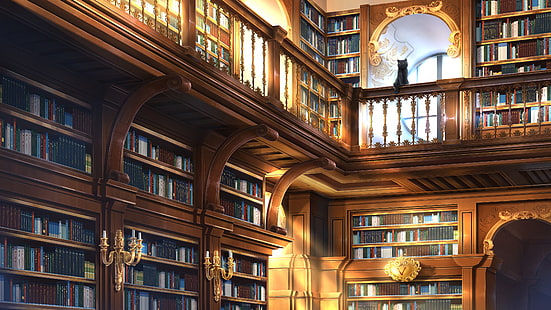 Аниме, Оригинал, Книга, Кошка, Библиотека, HD обои HD wallpaper