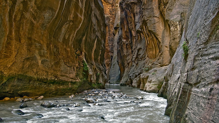 nature, landscape, canyon, river, rock, Grand Canyon, HD wallpaper