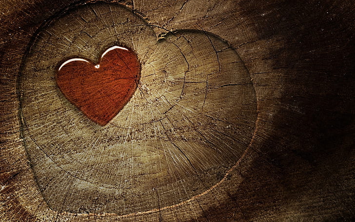 خشب القلب ، الحب ، القلب، خلفية HD