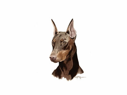doberman, dog, dogs, pinscher, HD wallpaper HD wallpaper