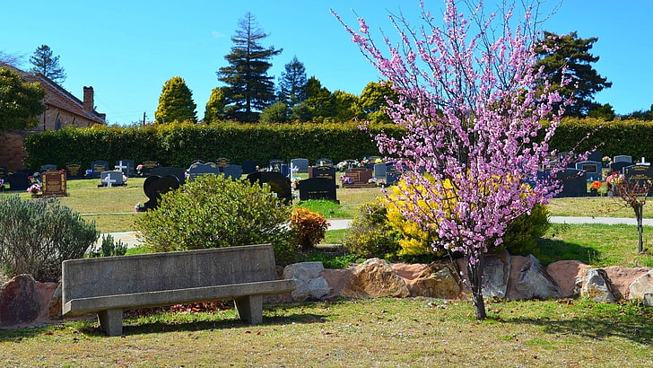 Religious, Cemetery, Australia, Bench, Blossom, Grave, Headstone, Lithgow, Tree, HD wallpaper