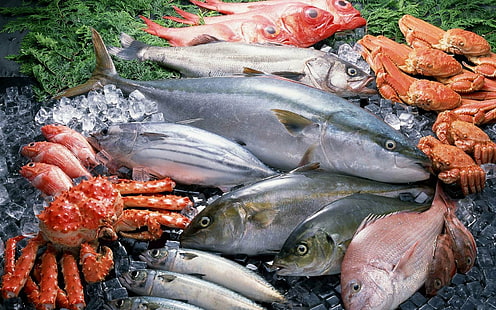 Nourriture, poisson, crustacés, fruits de mer, Fond d'écran HD HD wallpaper