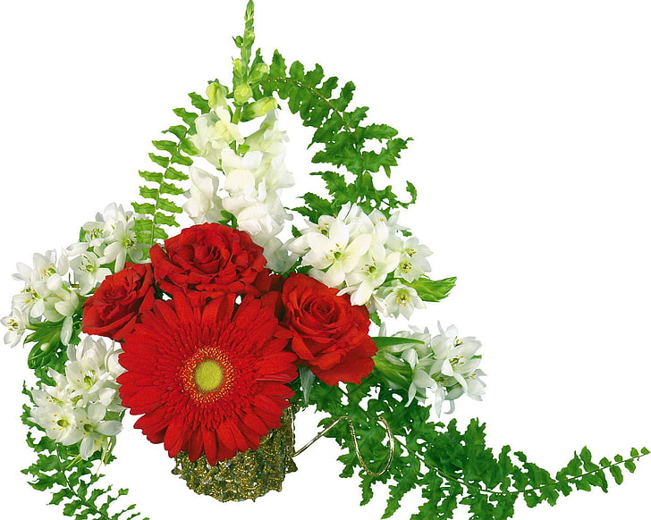 flores de pétalas vermelhas e brancas, rosas, gerbera, flores, ervas, lindas, HD papel de parede