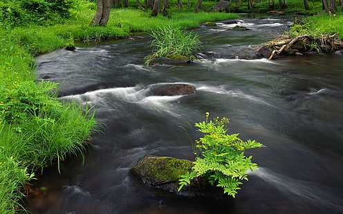 النهر عبر HD ، هيئة المياه الصافية ، الطبيعة ، المناظر الطبيعية ، النهر ، عبر، خلفية HD HD wallpaper