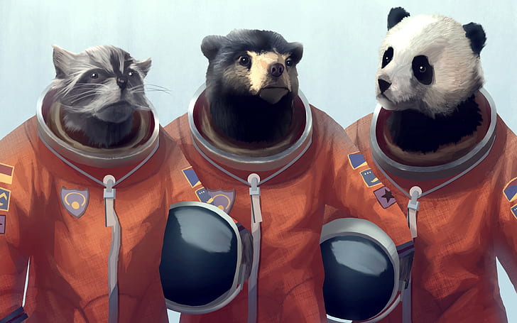 animals, artwork, bears, Cosmonaut, creative, Fandom, Furry, Panda, Racoon, HD wallpaper