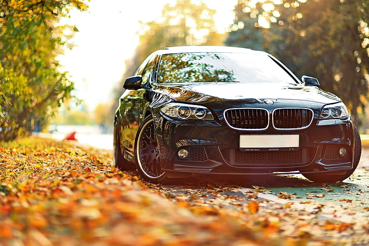 siyah BMW E serisi coupe, gündüz karayolunda siyah BMW aracı, araba, BMW, düşme, araç, siyah arabalar, yapraklar, güneş ışığı, parlak, alan derinliği, sarı, HD masaüstü duvar kağıdı