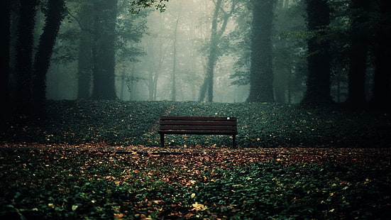 коричневая деревянная ременная скамейка, лес, скамейка, листья, деревья, осень, HD обои HD wallpaper