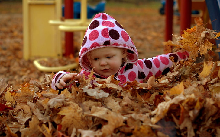 Baby White In Autumn Leaves, baby's white, black, and red polka-dot hoodie jacket, Baby, , leaves, autumn, HD wallpaper