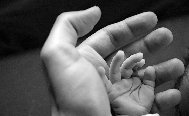 adult and baby's hands, hands, child, adult, affection, care, HD wallpaper