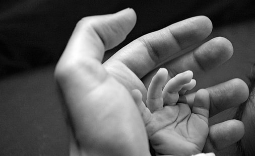 adult and baby's hands, hands, child, adult, affection, care, HD wallpaper HD wallpaper