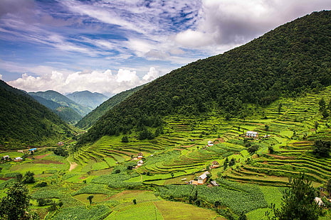 green rice terraces, nepal, nepal, Nepal, rice terraces, first, roadtrip, rice  paddy  fields, mountains, blue  green, clouds, village, agriculture, cloudy, day, my_choice, asia, terraced Field, mountain, nature, rice Paddy, rural Scene, hill, vietnam, farm, cultures, landscape, growth, sa Pa, field, valley, rice - Cereal Plant, east Asian Culture, green Color, plantation, plant, scenics, indochina, HD wallpaper HD wallpaper