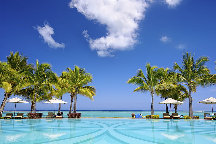 palm trees, sand, sea, beach, palm trees, shore, summer, paradise, palms, tropical, HD wallpaper
