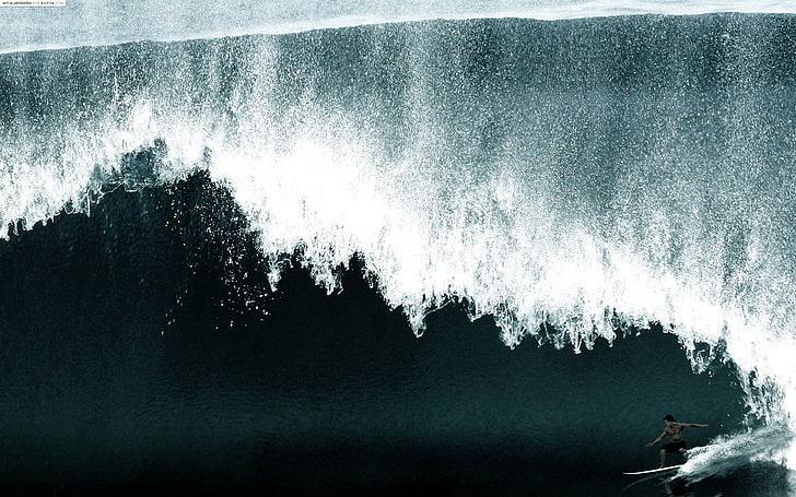 body of water, surfing, waves, sport, sports, HD wallpaper