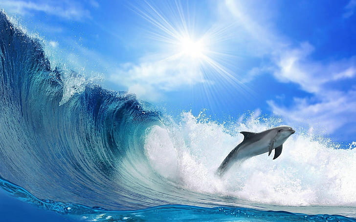 Djur, delfin, fisk, hav, havsvatten, hav, blå himmel, vågor, djur, delfin, fisk, hav, havsvatten, hav, blå himmel, vågor, HD tapet