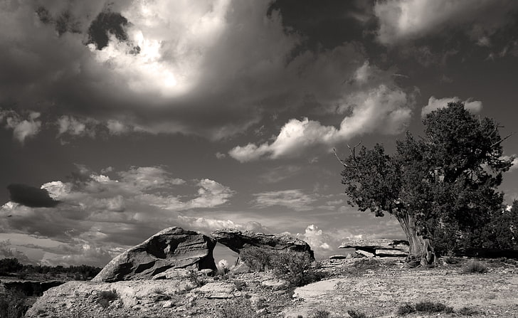 Wacholder Sandstein Himmel, Natur, Landschaft, Wacholder, Sandstein, HD-Hintergrundbild