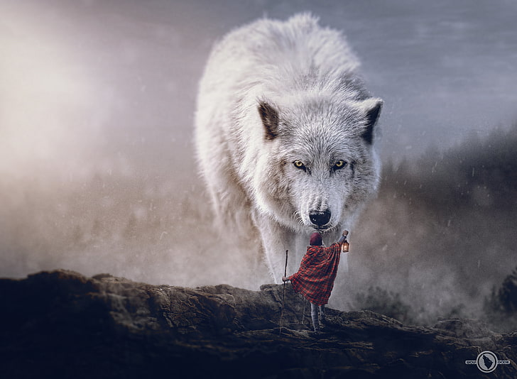 wolf wallpaper, wolf, digital art, sciencie fiction adventures, polar wolf, HD wallpaper