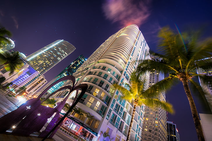 green coconut tree, night, palm trees, home, Miami, FL, cars, florida, hotels, vice city, South Beach, HD wallpaper