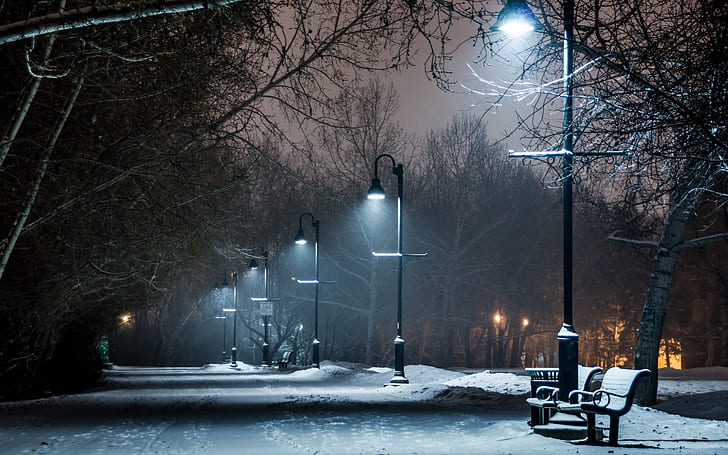 скамейка, лампа, фонари, ночь, парк, дорожка, столб, снег, тропа, зима, HD обои