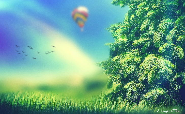 View Of Dreams, green tree, Aero, Creative, nature, sky, colorsdof, colors, cool, grass, green, blueshadows, ball, airballoon, baloon, planet, defocus, sony, photoshop, dream, HD wallpaper