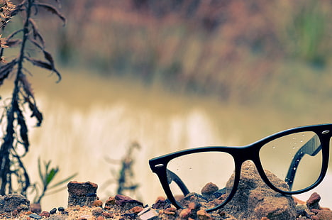 black framed eyeglasses, grass, Rosa, glasses, pebbles, lenses, HD wallpaper HD wallpaper