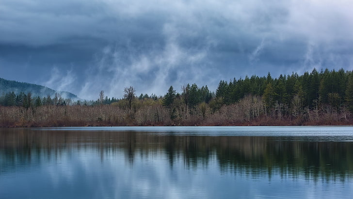 plan d'eau calme et feuille de pin verte, lot, lac, nuages, arbres, brume, Fond d'écran HD