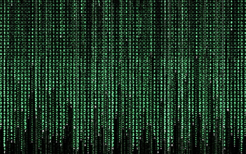matris binär kod, Matrisen, grön, filmer, kod, HD tapet HD wallpaper