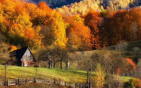 casa pintada de cinza, outono, celeiros, natureza, floresta, grama, colinas, paisagem, árvores, colorido, cerca, HD papel de parede HD wallpaper
