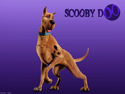 Fondo de pantalla de Scooby Doo, Película, Scooby-Doo, Scooby, Fondo de pantalla HD HD wallpaper