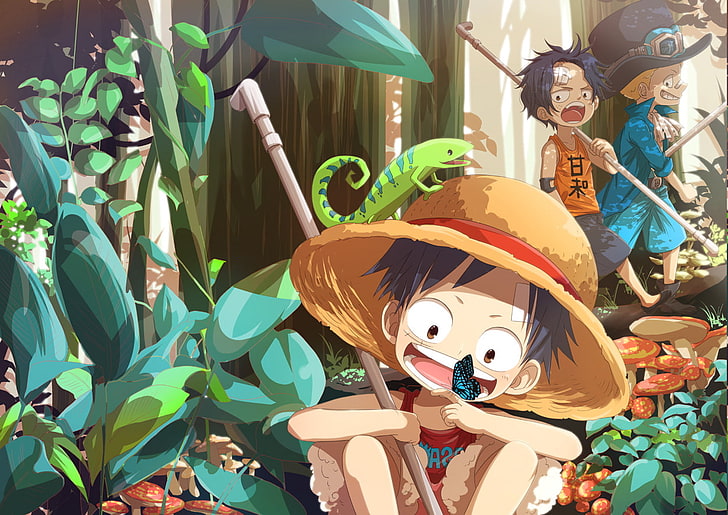 Monkey D. Luffy, One Piece, Portgas D. Ace, Sabo, Tapety HD