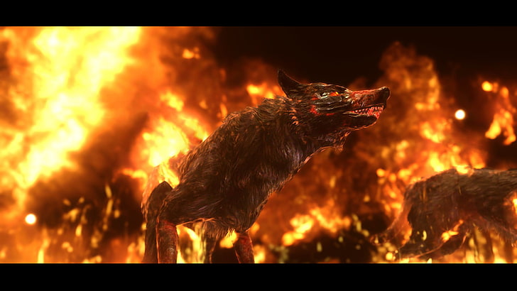grey wolf with fire, fire, hounds, fantasy art, artwork, video games, HD wallpaper