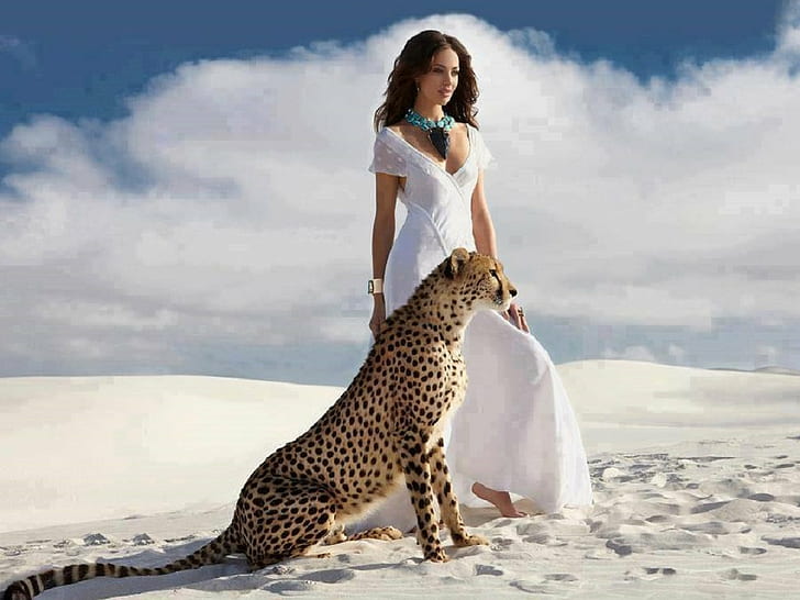 actress, animal, big, cats, cheetah, fox, megan, people, HD wallpaper