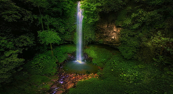 водопады и зеленые лиственные деревья, Австралия, водопад, лес, зелень, деревья, природа, пейзаж, HD обои HD wallpaper