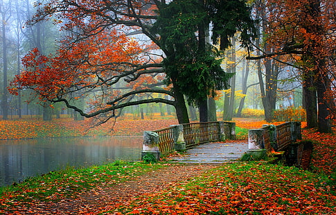 Колоритен есенен парк, природа, река, вода, гора, парк, дървета, листа, цветен, есен, есен, цветове, разходка, HD тапет HD wallpaper