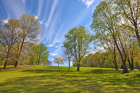 green grass shot during day time, meadowlark, meadowlark, Meadowlark, Gardens, HDR, green grass, shot, day, time, hill  park, garden, trees, branches, foliage, grass, nature, natural, scene, scenic, scenery, background, vienna  virginia, usa, united  states, american  beauty, beautiful, epic, calm, quiet, serene, serenity, zen, sky, cloud, clouds, outside, outdoor, outdoors, travel, tourism, touristic, blue, cyan, green, orange, brown, maroon, white, black, colorful, color, colors, colour, colours, spring  season, seasonal, stock, resource, image, picture, ca, tree, forest, landscape, park - Man Made Space, autumn, HD wallpaper HD wallpaper