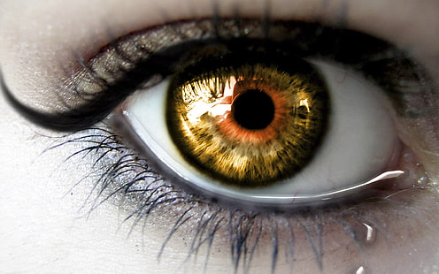 ojo humano, pestañas, ojos, pupila, lágrima, Fondo de pantalla HD HD wallpaper