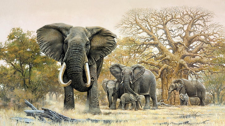pittura ad olio, elefanti, elefante, pittura, artistico, arte, natura, Sfondo HD