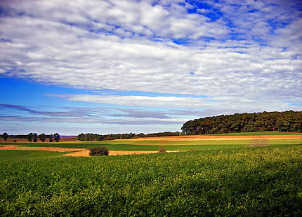 landscape photography of green field under white clouds, Outreach, landscape photography, green field, white clouds, Pennsylvania, Lehigh County, Weisenberg Township, Lehigh Valley, sky, altocumulus, rural, autumn, North America, Nature, creative commons, agriculture, rural Scene, field, farm, landscape, summer, outdoors, blue, cloud - Sky, meadow, scenics, land, HD wallpaper HD wallpaper