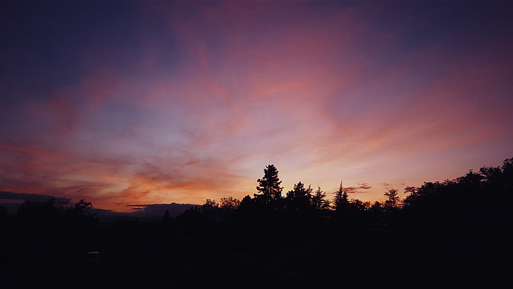 ทิวทัศน์ท้องฟ้าเมฆพระอาทิตย์ตกธรรมชาติป่าต้นไม้ถ่ายภาพ, วอลล์เปเปอร์ HD