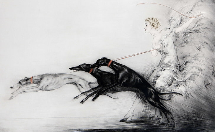 Windhunde zeichnen, Frau hält Hunde malen, künstlerisch, Zeichnungen, zeichnen, Windhunde, HD-Hintergrundbild