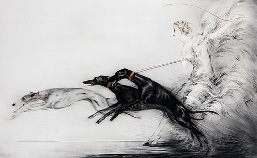 Dibujo de galgos, mujer sosteniendo perros pintura, artístico, dibujos, dibujo, galgos, Fondo de pantalla HD HD wallpaper