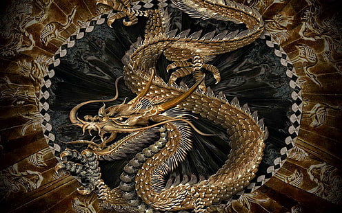 gold and silver dragon illustration, chinese dragon, dragon, HD wallpaper HD wallpaper
