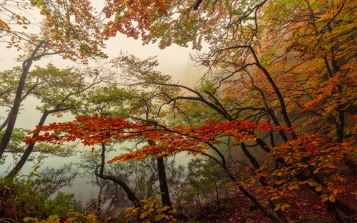 秋の風景自然国立公園プリトヴィツェ湖クロアチアウルトラHd壁紙デスクトップの携帯電話とラップトップ3840×2400、 HDデスクトップの壁紙