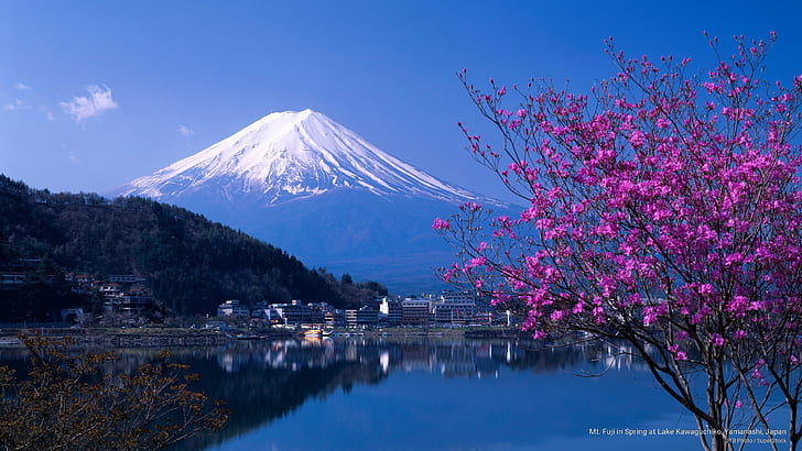 Mt. Фуджи през пролетта на езерото Кавагучико, Яманаши, Япония, планини, HD тапет