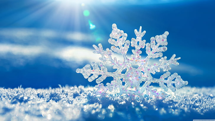 макро фотография на снежинки с лъчи слънце графичен тапет, снежни люспи, зима, макро, сняг, син фон, HD тапет